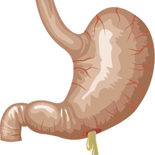 胃肠镜都有什么品牌胃肠镜检查前喝得都是什么药？_https://www.jmylbn.com_新闻资讯_第2张