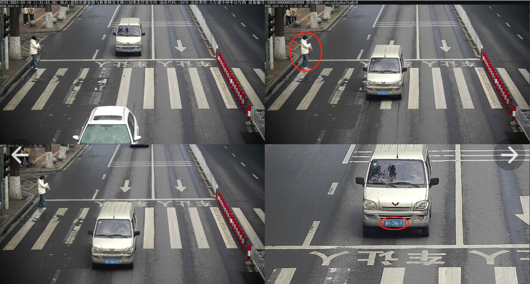 曝光不礼让行人的你被抓拍啦