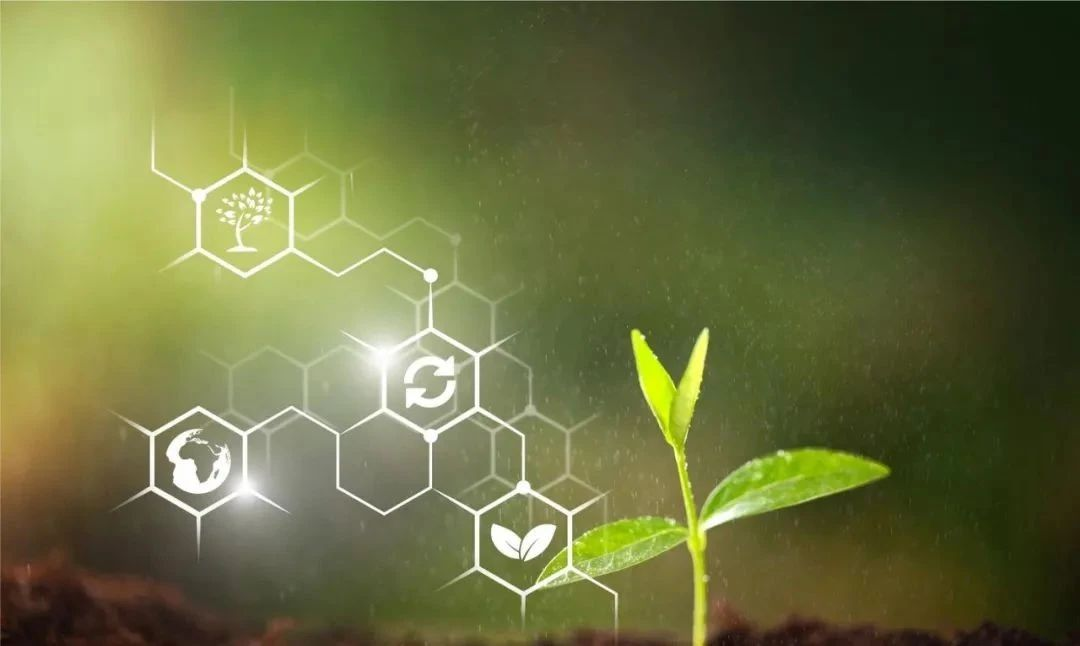 640_wx_fmt=other&wxfrom=10005&wx_lazy=1&wx_co=1&tp=webp.webp (2).png