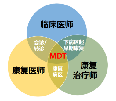 南通康复设备有哪些瑞慈康复中心 ｜ 守护希望，康复让生命重新启航！_https://www.jmylbn.com_新闻资讯_第15张