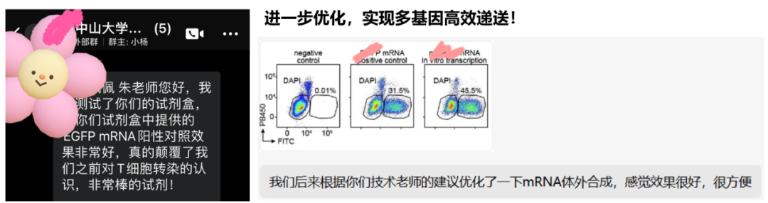 ProteanFect高效轉(zhuǎn)染小鼠原代T細胞、NK細胞及γδT細胞