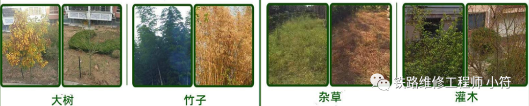 蒲公英专用除草剂_蒲公英地里有草打什么除草剂好_蒲公英田除草剂