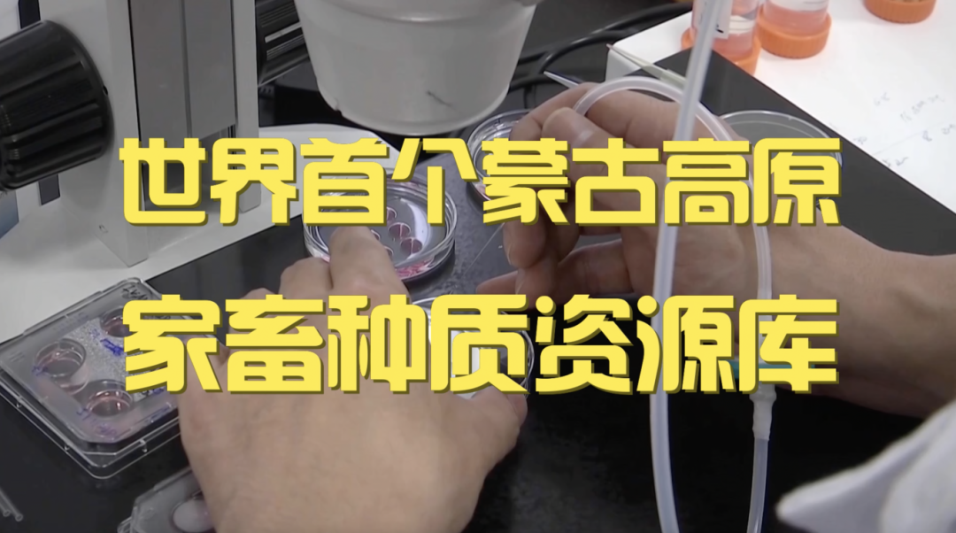 截屏2026-01-06 10.39.20.png