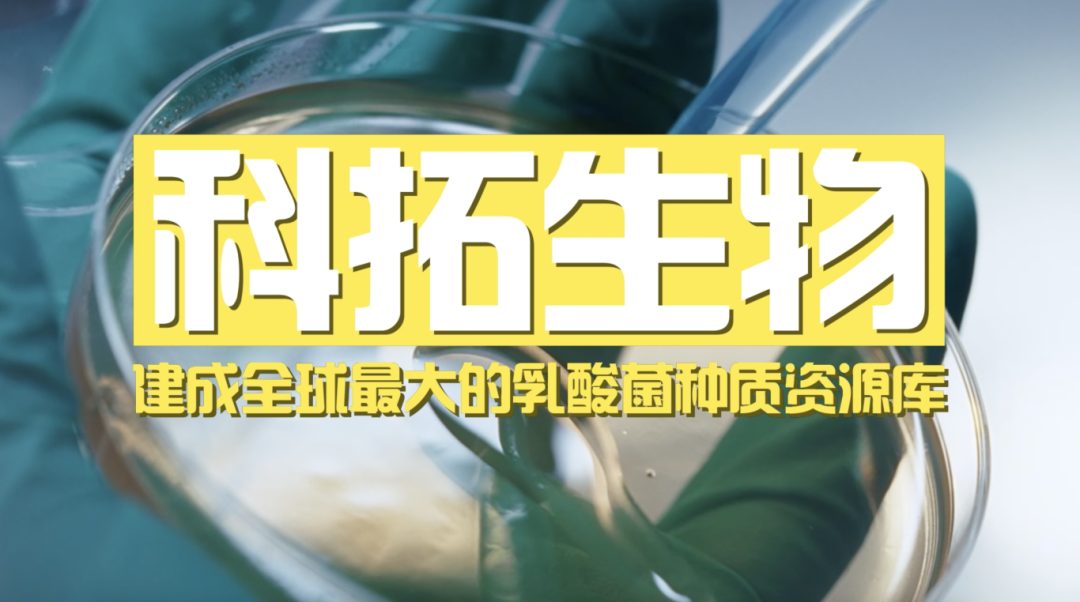 截屏2026-01-06 10.34.45.png