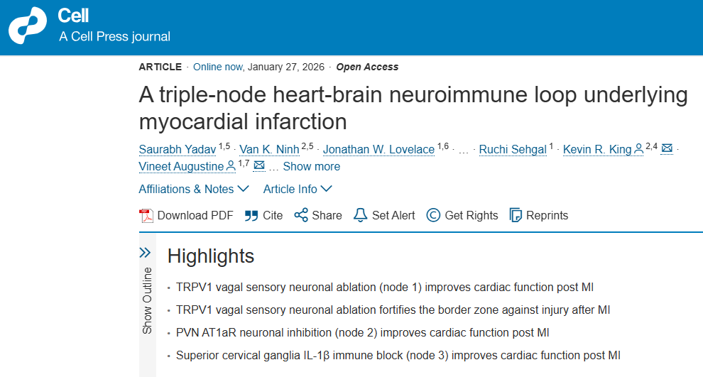 怎么测量小鼠心电图Cell ｜ 心脏-大脑-心脏的“生死闭环”：阻断三级回路任一节点均可逆转心梗结局？_https://www.jmylbn.com_新闻资讯_第1张