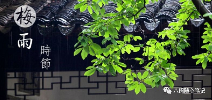 一年最强 霉 雨季 小霉点 大危害 防霉 除霉生活小常识 八闽随心笔记 微信公众号文章阅读 Wemp