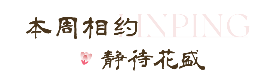 0f1677f4a12a908f53895118ee1b23fb.png