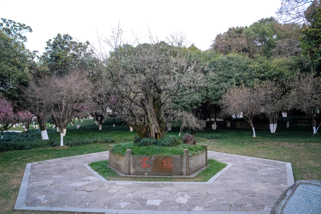 DSC03195-opq3493713015.jpg
