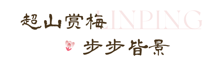 d7284fc378c5d363849044ca45ae3943.png