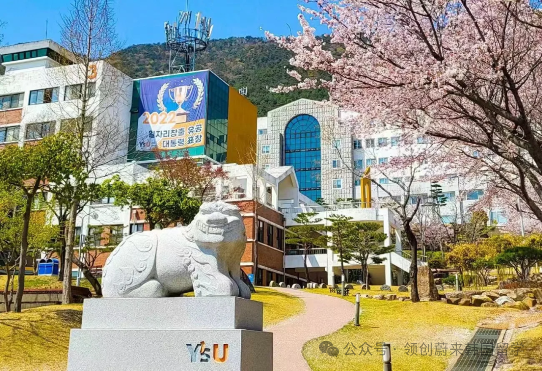 2025年韩国留学中文授课1年制专升本可申请院校汇总(图6)