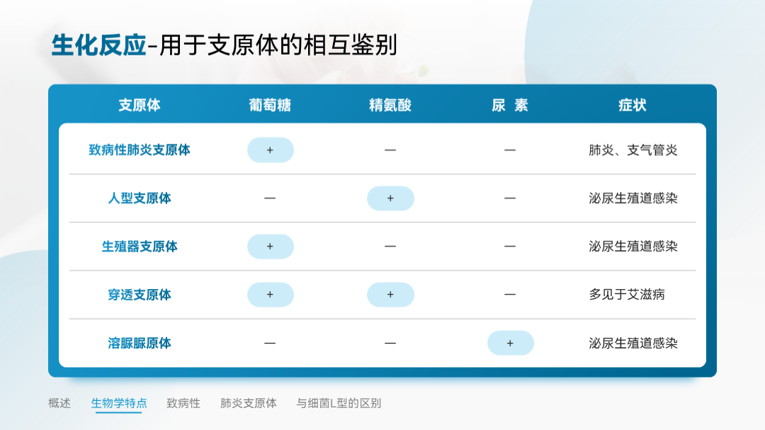 ppt怎么加表格