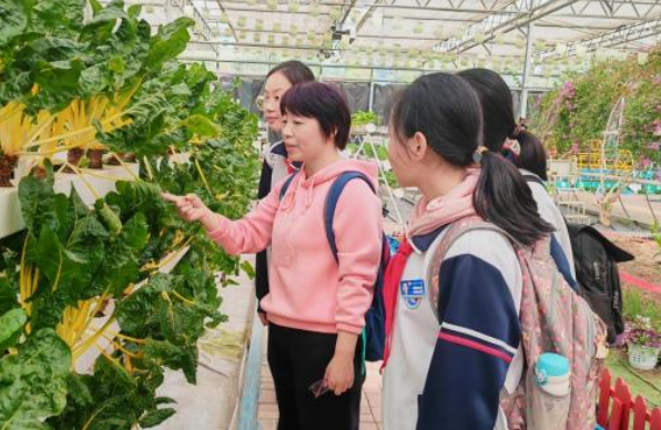 电教优质课作品特色亮点_电教优质课学习经验_电教优质课怎么讲