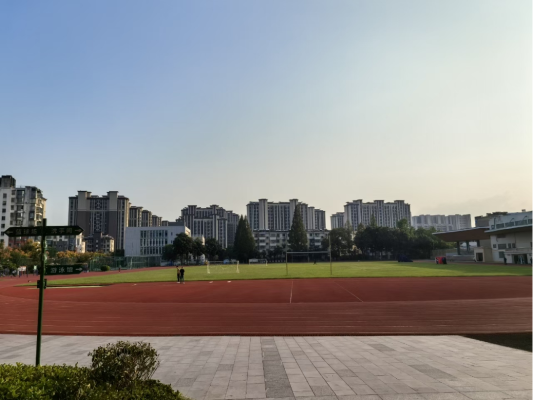 d8917f4c-e5b6-4904-bbeb-410edd9be16e.png