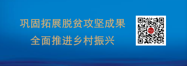 致富小吃机器大全_致富经小吃_致富小吃机