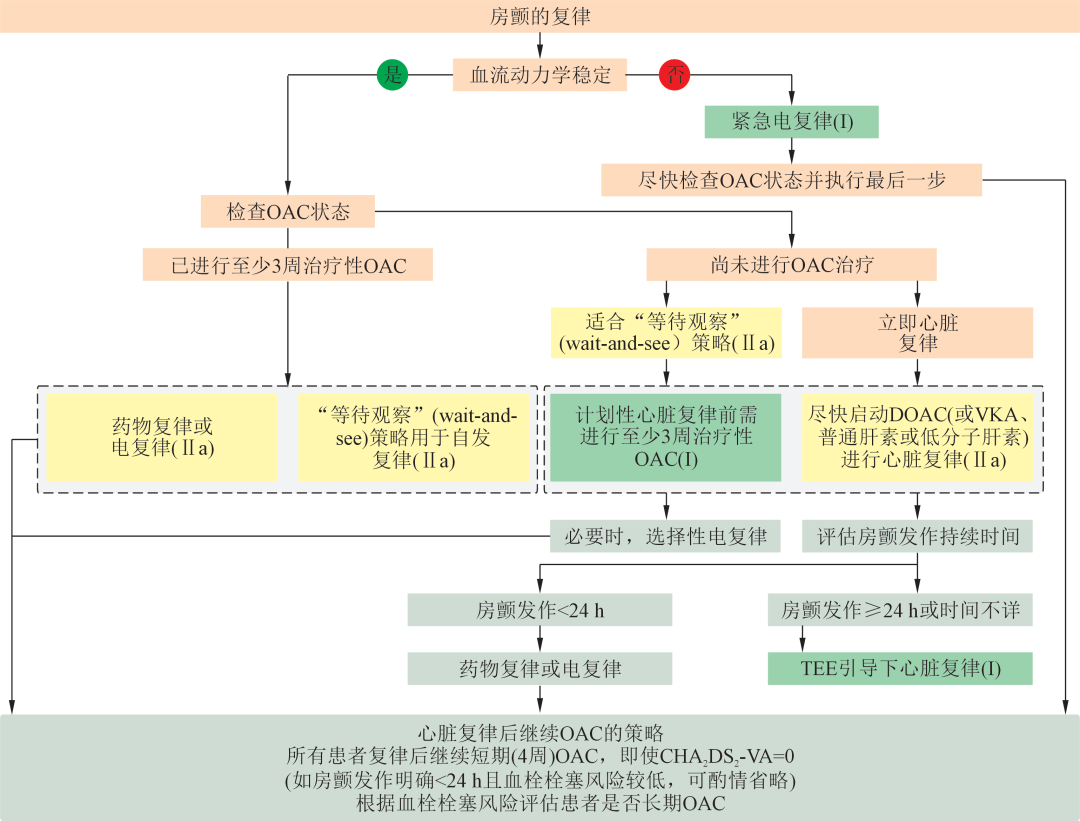 中国心房颤动管理：2025最新指南推荐，速览！