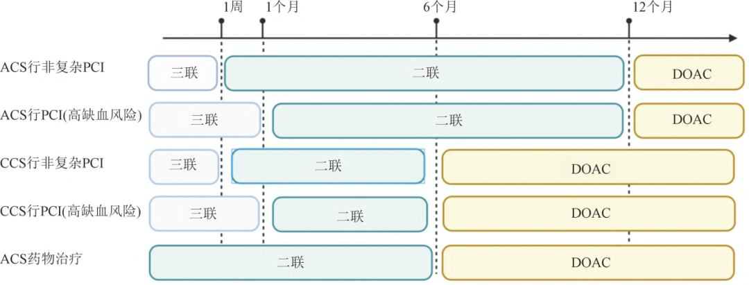 中国心房颤动管理：2025最新指南推荐，速览！