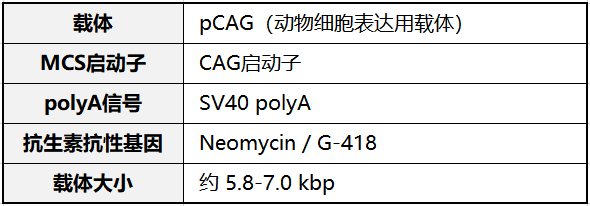 FUJIFILM Wako——CLEM用熒光蛋白表達載體