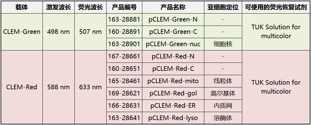 FUJIFILM Wako——CLEM用熒光蛋白表達載體