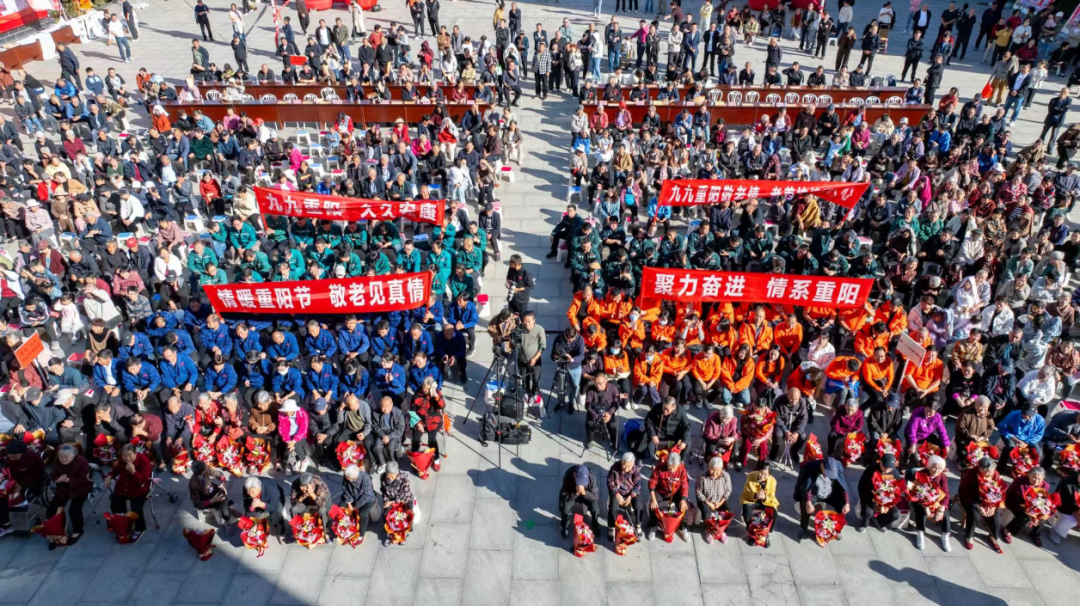 图片11.png