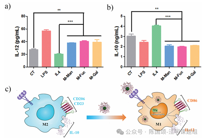 图表  AI 生成的内容可能不正确。