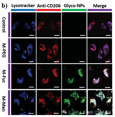 图片包含 应用程序  AI 生成的内容可能不正确。