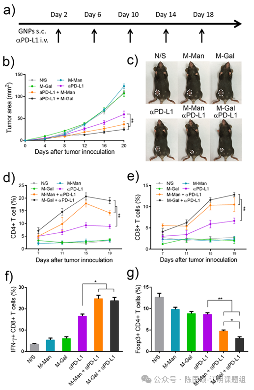 图形用户界面, 图表  AI 生成的内容可能不正确。