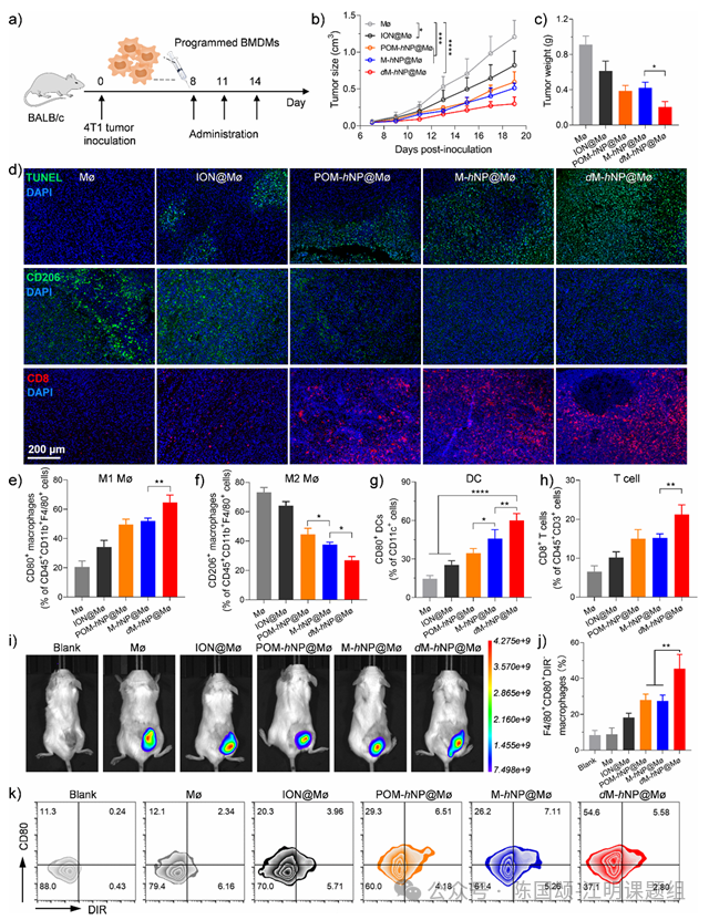 图示  AI 生成的内容可能不正确。
