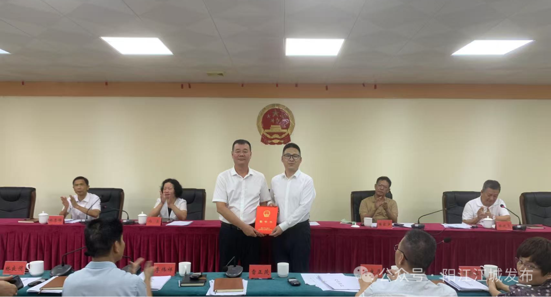 吴伟任江城区人民政府副区长,代理区长