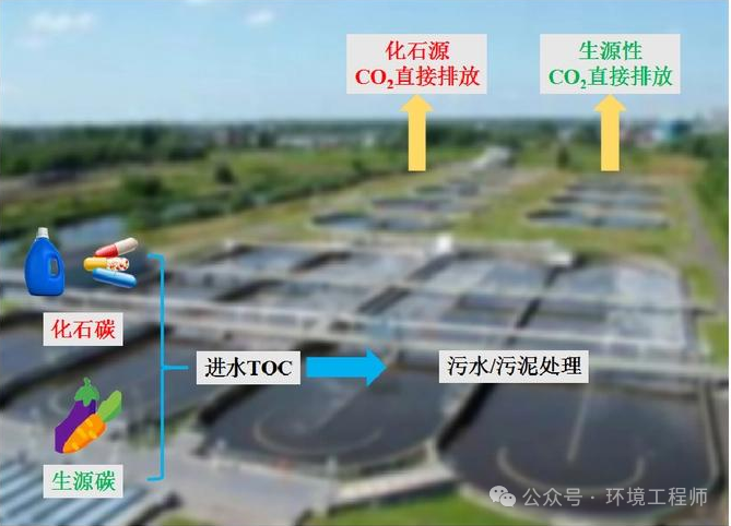 反硝化碳源的对比！