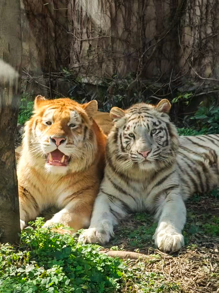 微信图片_2026-03-10_153322_634.png