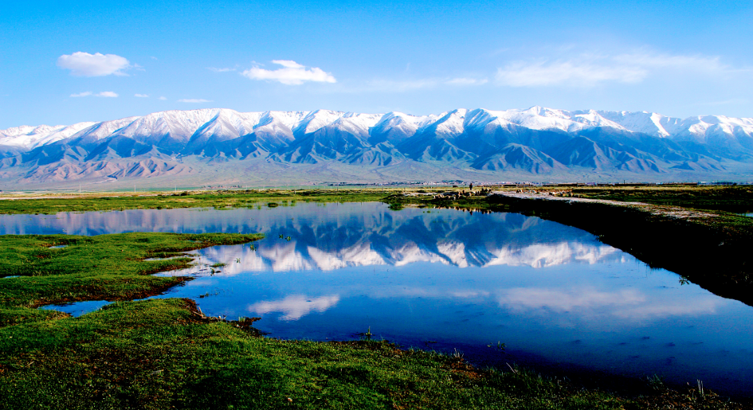 巴里坤高家湖湿地景区.png