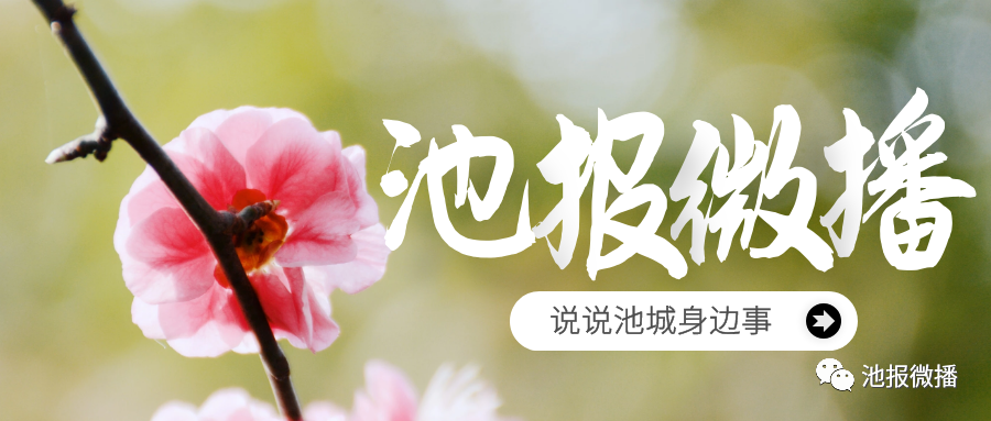 高中迎来重大变革，高中生必须修满144学分才能毕业！| 速速收藏！池州最新汽车时刻表来啦！