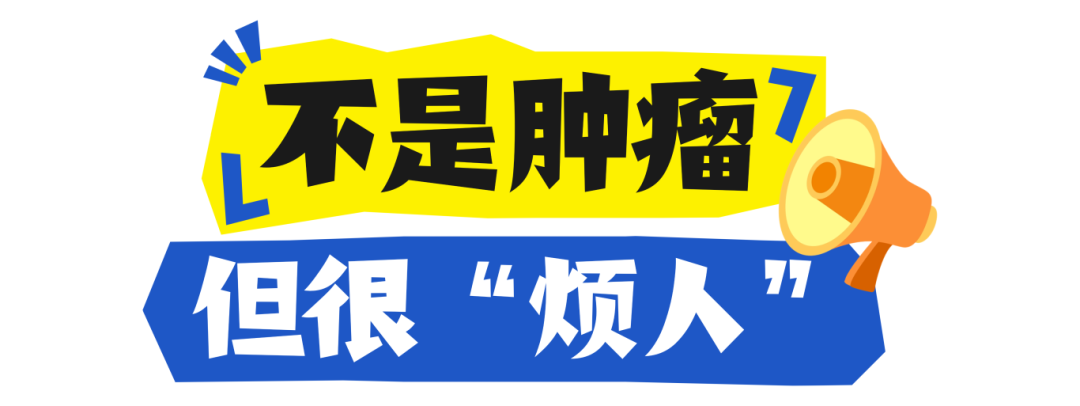 未命名(28) (1).png