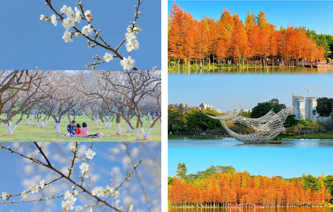 黄埔佳大瑞园93㎡~130㎡，即买即入住！