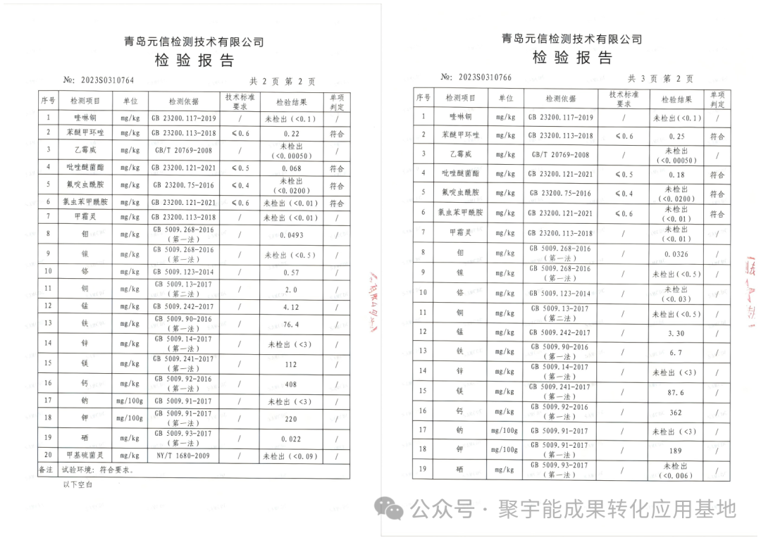实测封神黄瓜用对“黑科技”，增产30%+还能种出有机富硒果！(图4)
