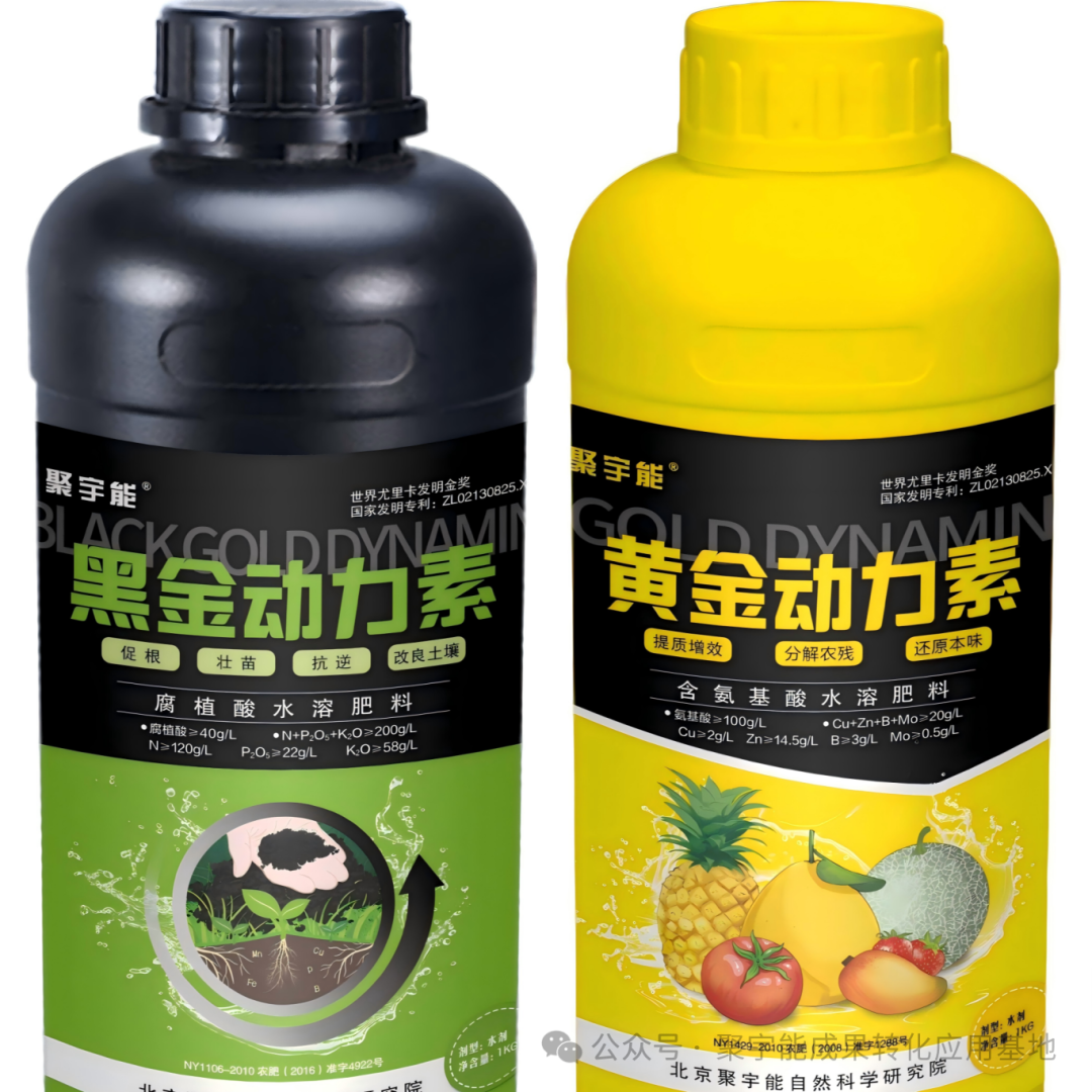实测封神黄瓜用对“黑科技”，增产30%+还能种出有机富硒果！(图1)