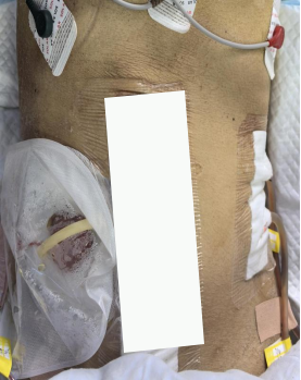 Screenshot 2024-04-24 at 14-26-10 640（WEBP 圖像，277x349 像素）.png