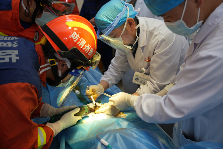 Screenshot 2024-04-24 at 14-03-27 640（WEBP 圖像，737x491 像素）.png