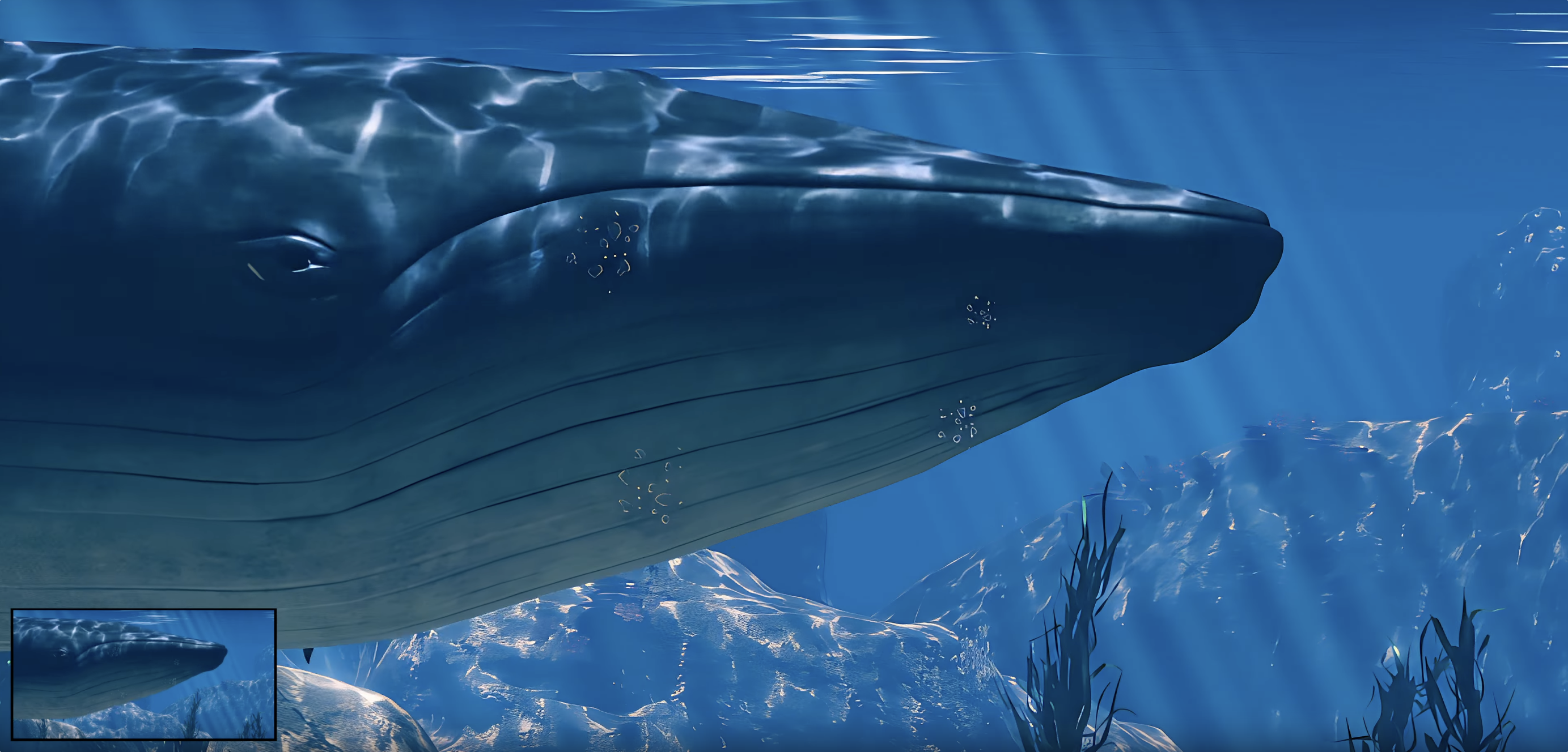 器材色彩缤纷福音！REZUp 2震撼发布，AI“脑补”细节，高清修复不是梦！