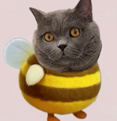 还有人戏称doinb现在自顾不暇独自前往巴西了根本顾