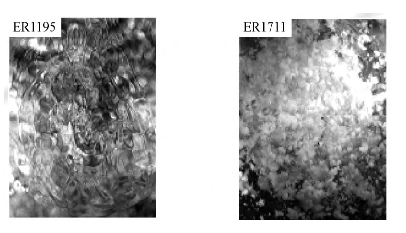 今晚必开生肖图特马