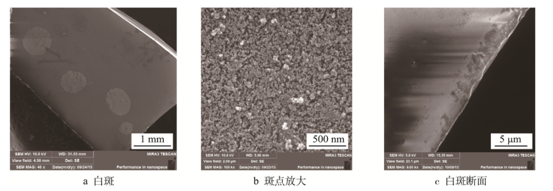 今晚必开生肖图特马