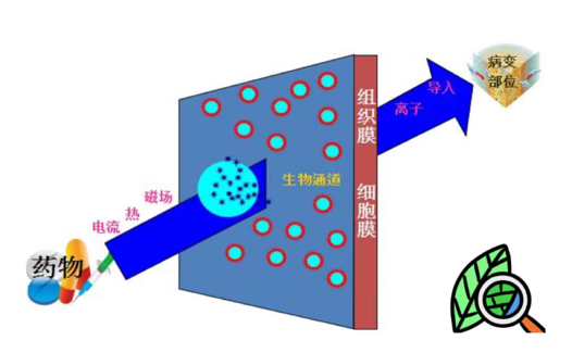 疼痛科怎么理疗丽江市人民医院疼痛科——理疗助力患者早日解除疼痛_https://www.jmylbn.com_新闻资讯_第4张