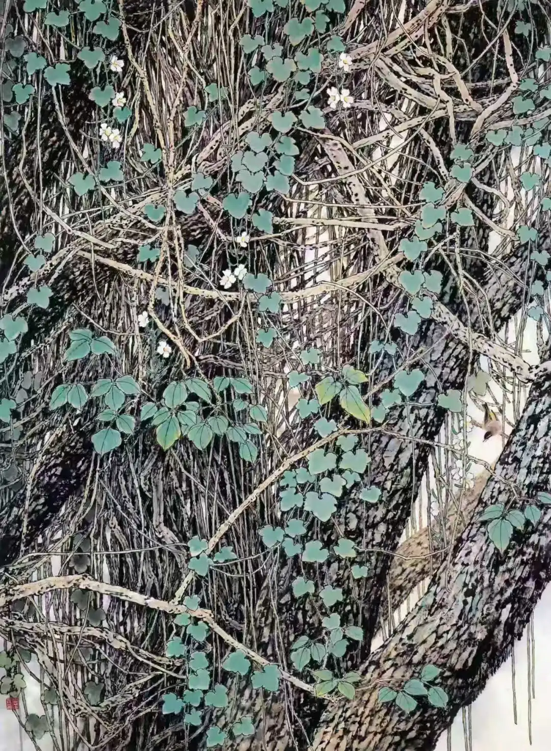 方楚雄《藤韵》