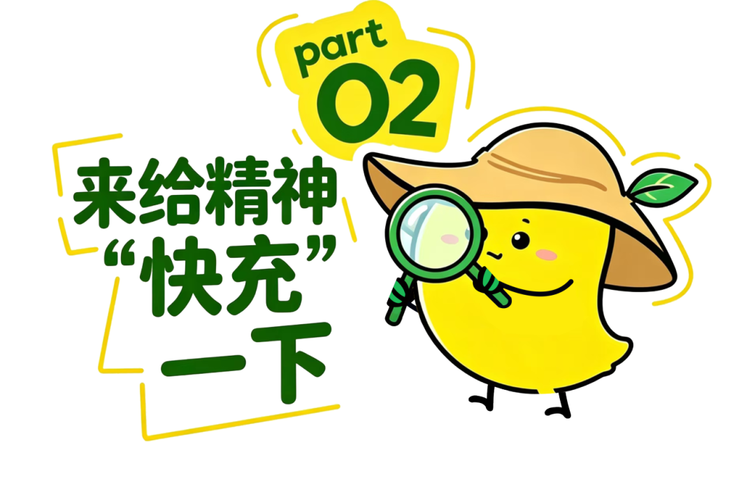 fa9c914ff119bdc554b4e5530b6acc0a.png