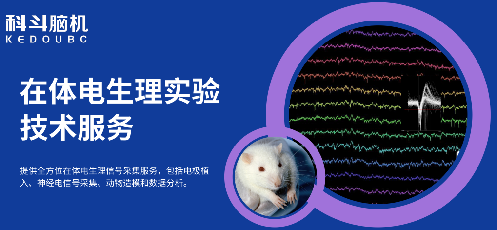 电生理设备有哪些万元级超高性价比更多功能的多通道电生理信号采集系统_https://www.jmylbn.com_新闻资讯_第10张