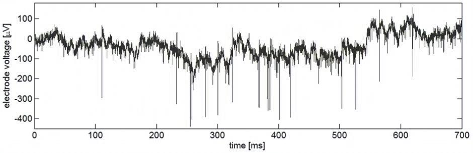 电生理设备有哪些万元级超高性价比更多功能的多通道电生理信号采集系统_https://www.jmylbn.com_新闻资讯_第6张