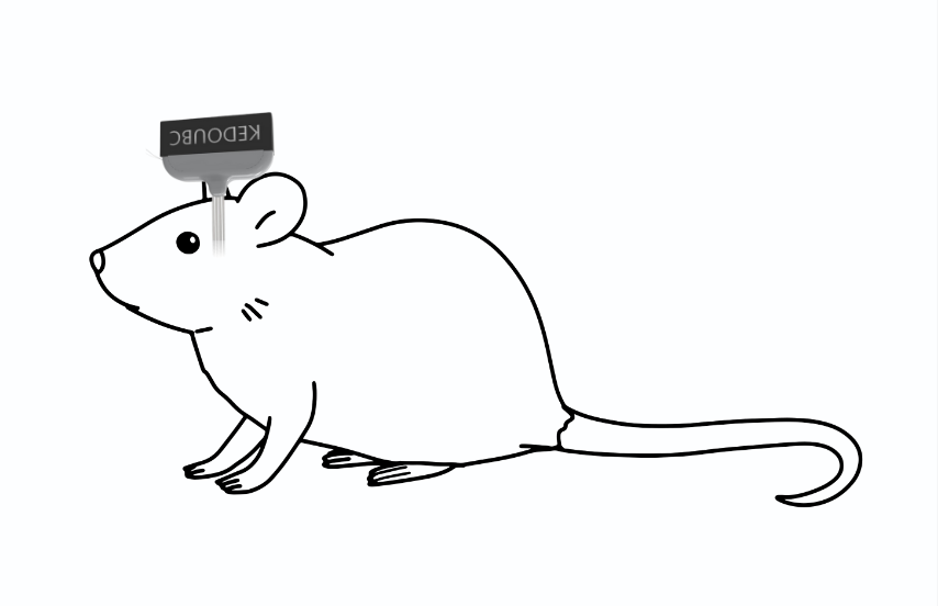 电生理设备有哪些万元级超高性价比更多功能的多通道电生理信号采集系统_https://www.jmylbn.com_新闻资讯_第7张