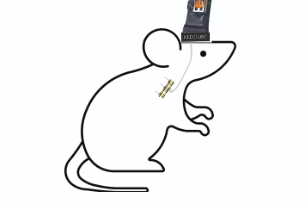 电生理设备有哪些万元级超高性价比更多功能的多通道电生理信号采集系统_https://www.jmylbn.com_新闻资讯_第8张