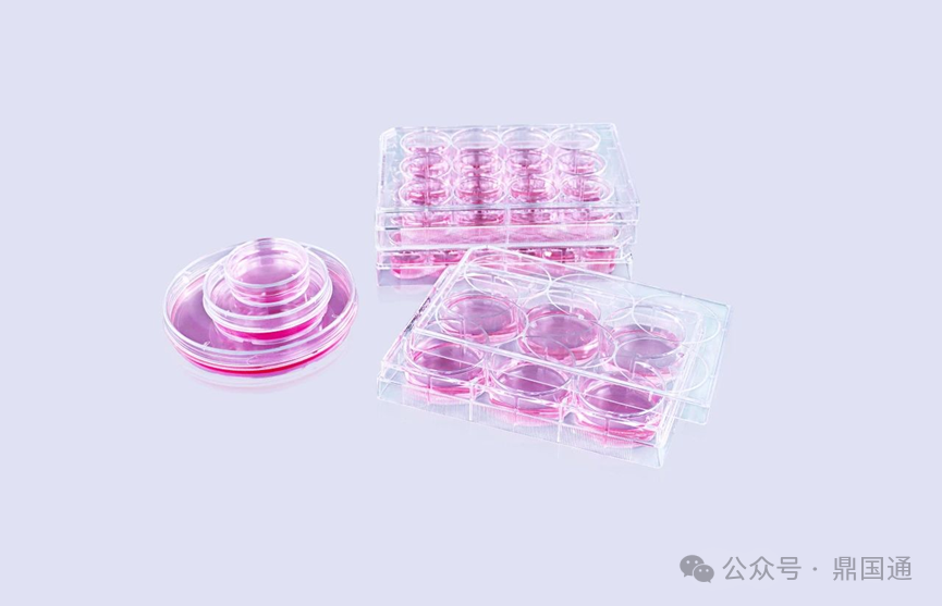 潔特上新 | 多聚-D-賴氨酸包被表面產(chǎn)品